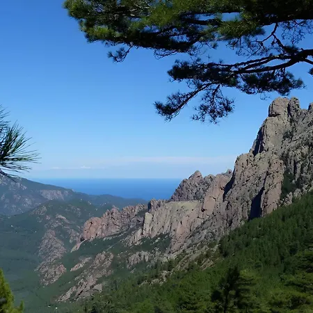 Tous Conforts Avec Piscine Privee Et Acces Villa Cervione