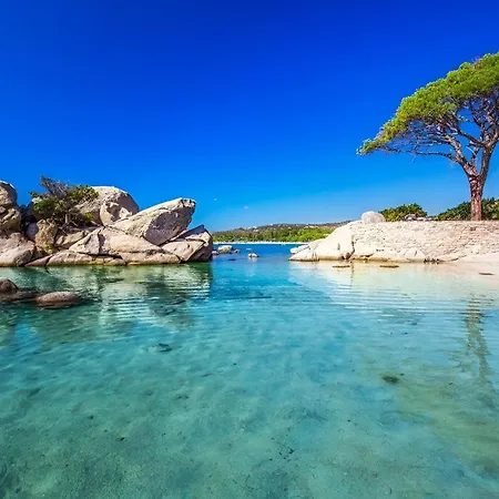 Tous Conforts Avec Piscine Privee Et Acces * Cervione
