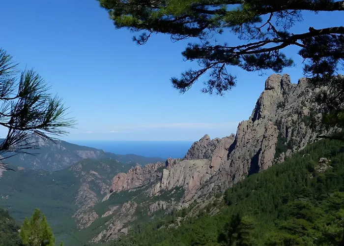 Tous Conforts Avec Piscine Privee Et Acces Villa Cervione