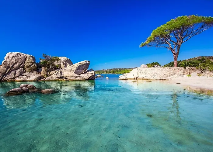 Tous Conforts Avec Piscine Privee Et Acces * Cervione